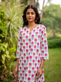 Rimjhim Cotton Regular Long Kurta - Pinklay